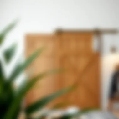 Different materials used for barn doors