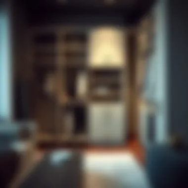 Modern closet layout showcasing versatility