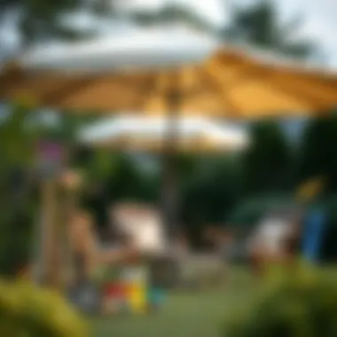 Maintenance tools and tips displayed next to a sun umbrella in a garden.