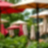 Variety of sun umbrellas in a lush garden setting showcasing different styles and sizes.