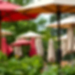 Variety of sun umbrellas in a lush garden setting showcasing different styles and sizes.