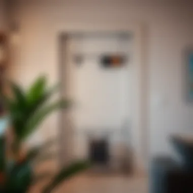 Installation process of an over door shoe rack in a modern home