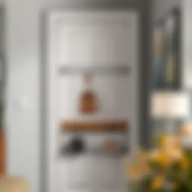 Sleek over door metal shoe rack with stylish design