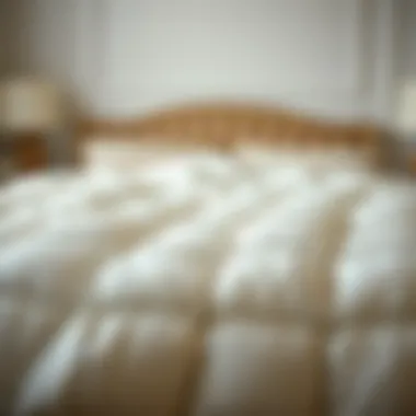 Luxurious full-size feather comforter spread across a beautifully made bed