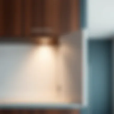 Stylish corner cabinet door showcasing modern design