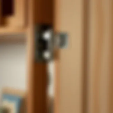 Detailed view of cabinet hinges and installation