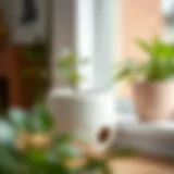 Elegant ceramic planter with drainage holes