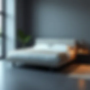 Stylish queen platform bed frame with wheels in a minimalistic setup