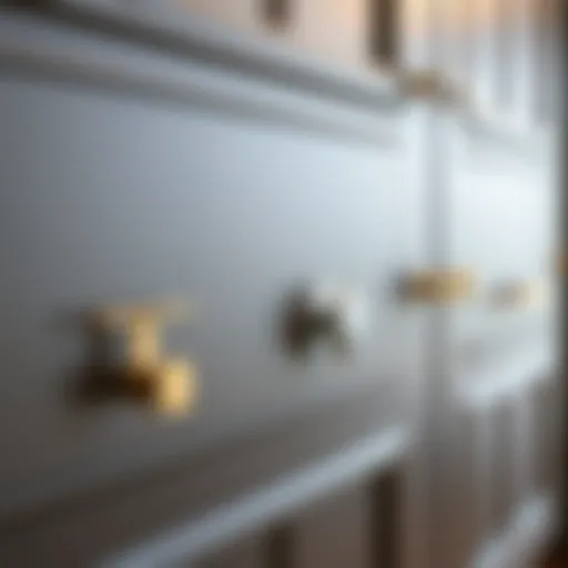 Elegant cabinet hardware styles showcasing a variety of finishes