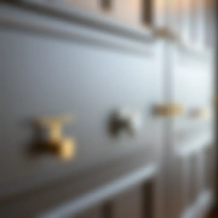 Elegant cabinet hardware styles showcasing a variety of finishes