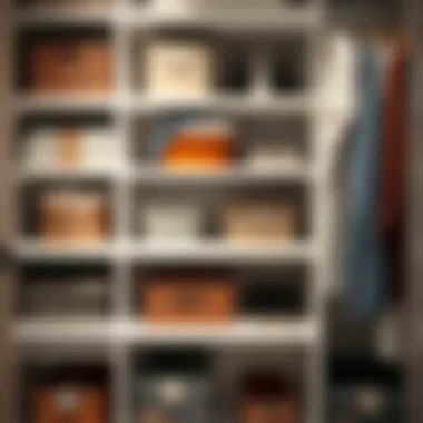 Clever storage solutions for maximizing vertical space in closets