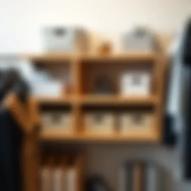 Contemporary closet shelf organizer showcasing adjustable compartments