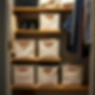 Stylish fabric bins enhancing closet aesthetic and functionality