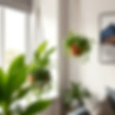 Elegant corner plant hanger showcasing lush greenery