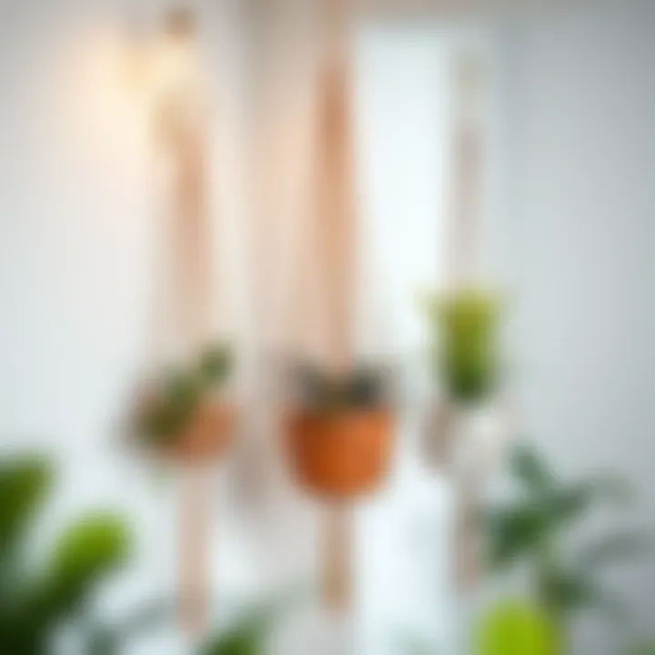 Stylish corner plant hangers enhancing interior design