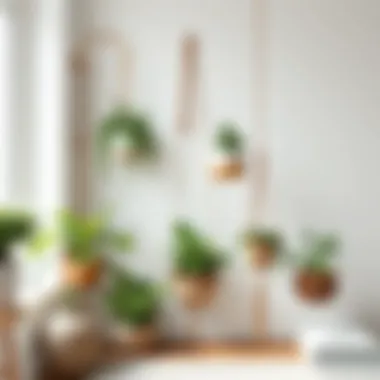 A variety of corner plant hangers made from different materials