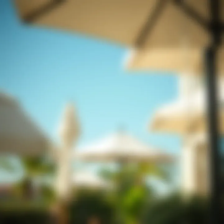 Comparison of Costco pool umbrellas with other brands