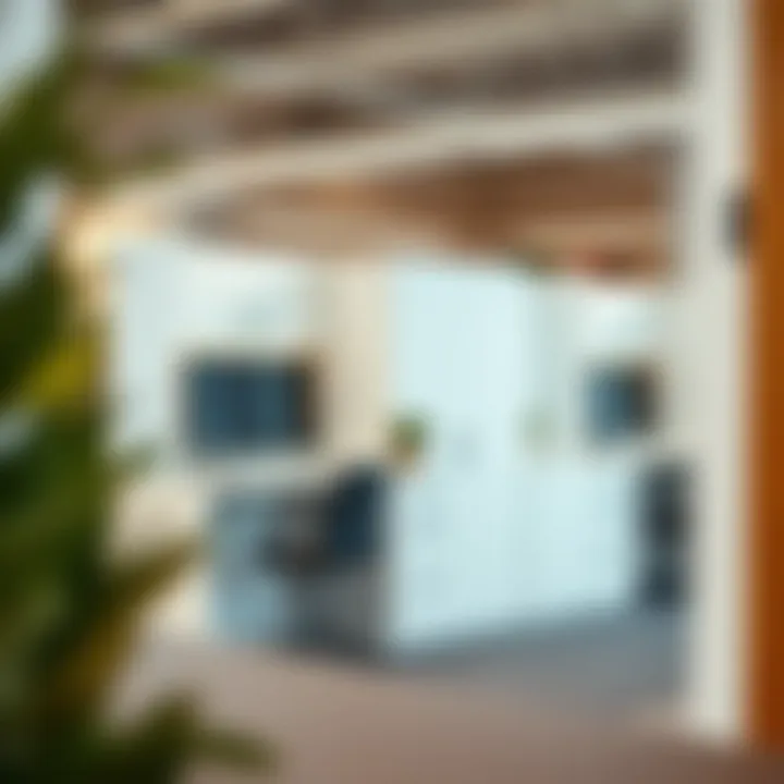 Aesthetic cubicle with decorative storage elements