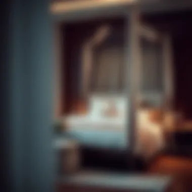 Various material choices for full canopy beds with storage