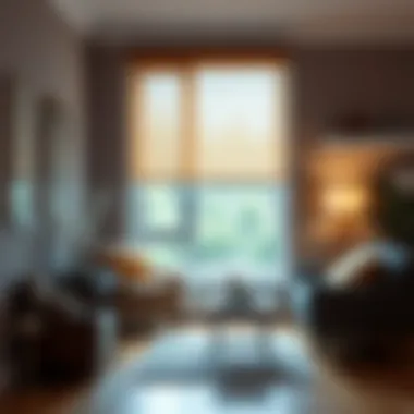 Maintenance tools and tips for HomeKit roller blind motors