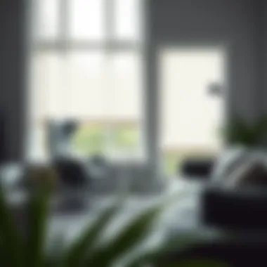 Smart home system displaying integrated HomeKit roller blind controls