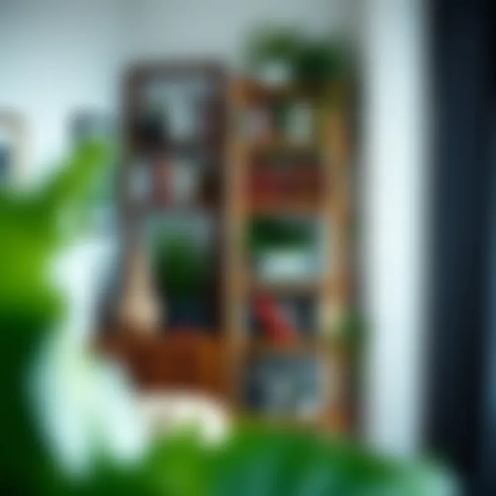 Ladder shelving with books and plants arranged creatively