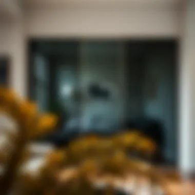 Smoked glass closet doors enhancing minimalist interior