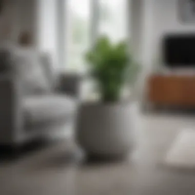 Concrete Look Pot in a Cozy Living Room Concrete look pot integrated into a cozy living room.