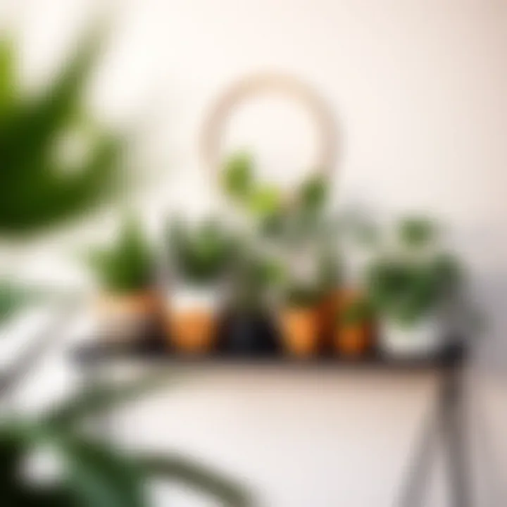 Creative arrangement of indoor plants on a stylish shelf