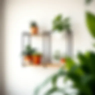 Minimalist plant shelf design with vibrant plant selections