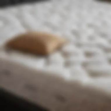 Close-up of the materials used in a twin mattress