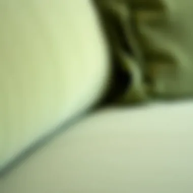 Close-up of light green upholstery and textures