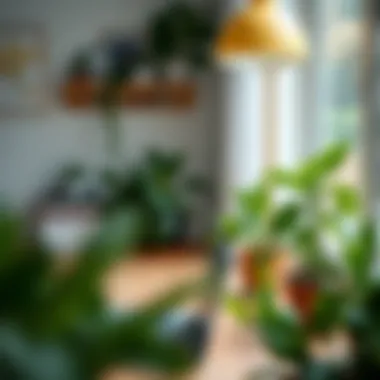 A serene home workspace featuring live plants for improved air quality and ambiance