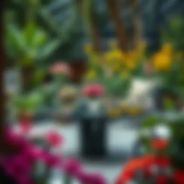 Elegant outdoor center table with a glass top surrounded by vibrant garden