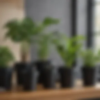 Comparing Black Plastic Pots with Eco-Friendly Alternatives Side-by-side comparison of black plastic pots and biodegradable alternatives