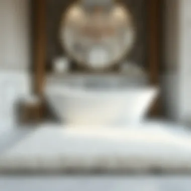 Luxurious textured fluffy bath rug in sophisticated bathroom setting