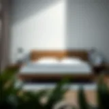 Sleek modern bed frame with minimalist design