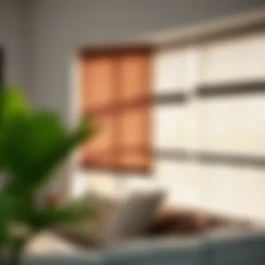 Comparison of different blind types and their functionalities