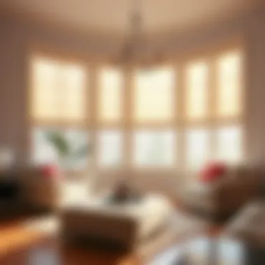 Elegant living space adorned with stylish blinds