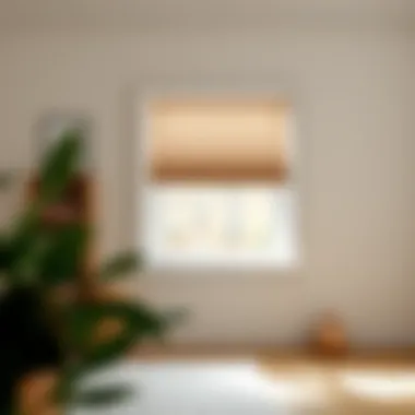 Step-by-step installation guide for blinds