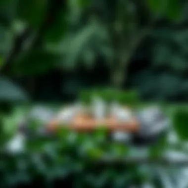 A beautifully arranged rectangular dining table in a serene garden