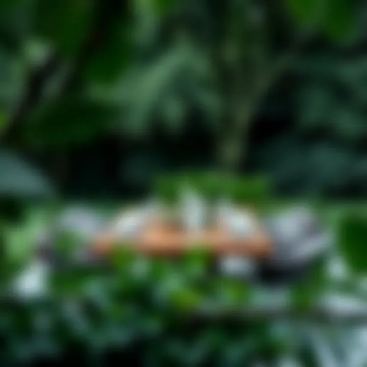 A beautifully arranged rectangular dining table in a serene garden