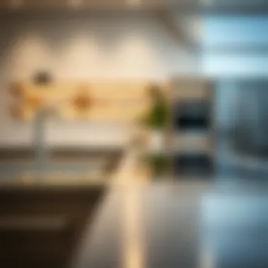 Sleek design of stainless steel counters enhancing decor