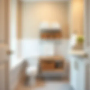 Functional slide out basket organizer in a well-organized bathroom