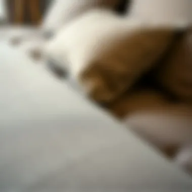 Close-up of the materials used in small size futons showcasing texture and design